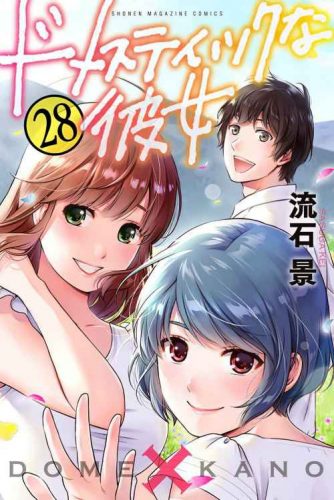 Lee más sobre el artículo Domestic na Kanojo [Manga-Mega]